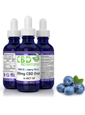 Wild Blueberry <br>500mg CBD in MCT Oil