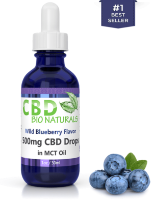 Wild Blueberry <br>500mg CBD in MCT Oil