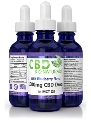 Wild Blueberry 1000mg CBD in MCT Oil